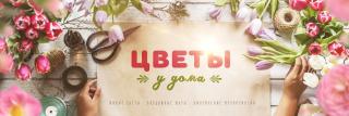 Цветы у дома